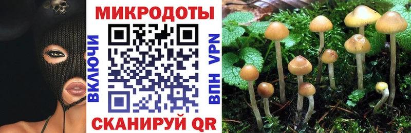ссылка на мегу онион  Щигры  Псилоцибиновые грибы Psilocybine cubensis 